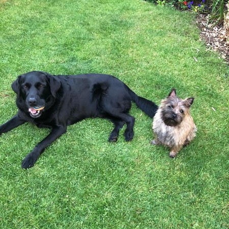 Entry image for Simpson and Stella. Clicking this image will show a larger photo