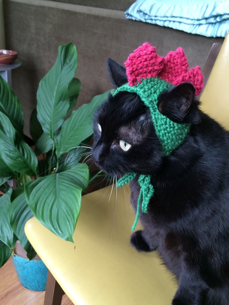 Entry image for Ruby. Clicking this image will show a larger photo