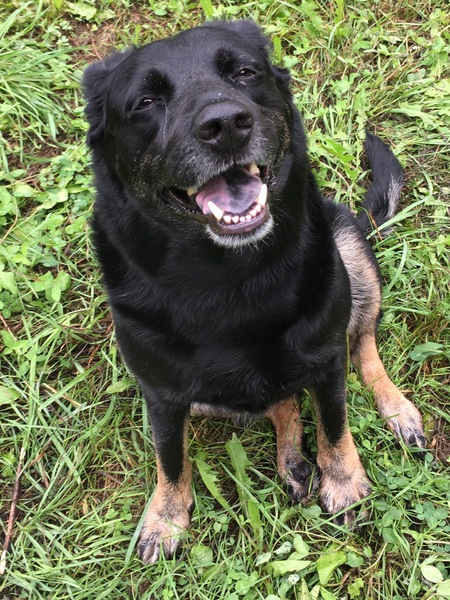 Entry image for Jessie. Clicking this image will show a larger photo