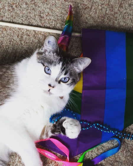 Entry image for Luke. Clicking this image will show a larger photo