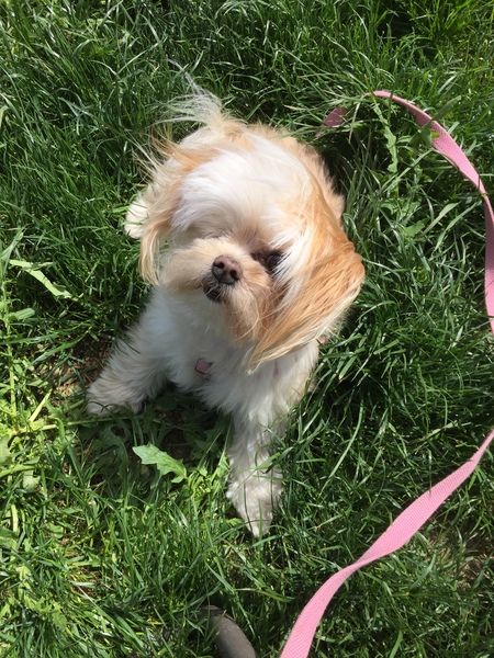 Entry image for Arizona. Clicking this image will show a larger photo