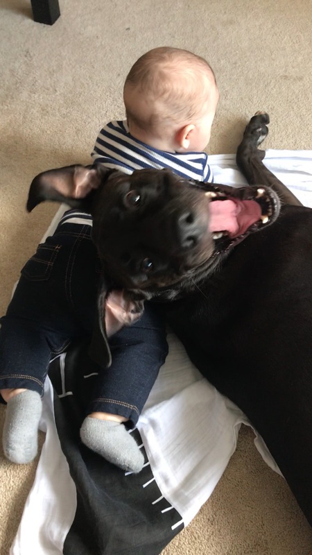 Entry image for Rumble. Clicking this image will show a larger photo