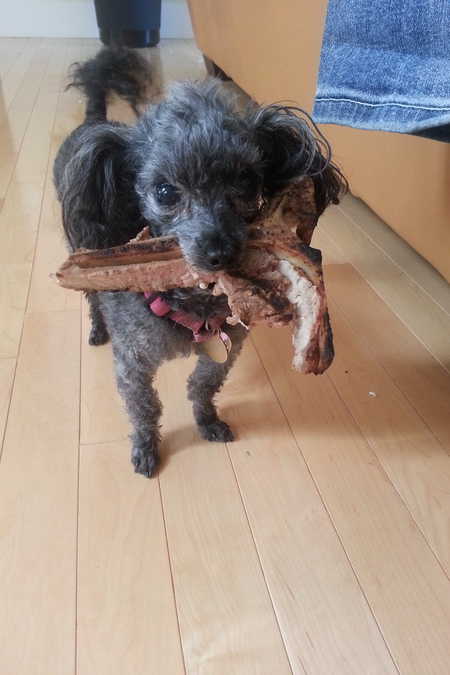 Entry image for Chibi . Clicking this image will show a larger photo