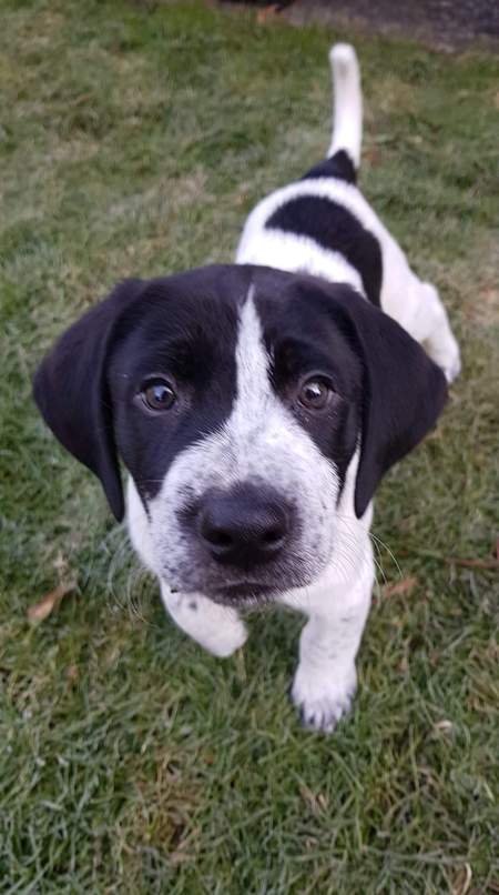 Entry image for Mac. Clicking this image will show a larger photo