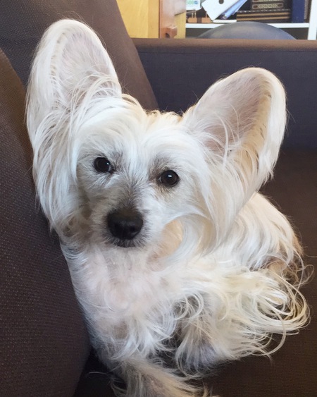 Entry image for Marlee. Clicking this image will show a larger photo