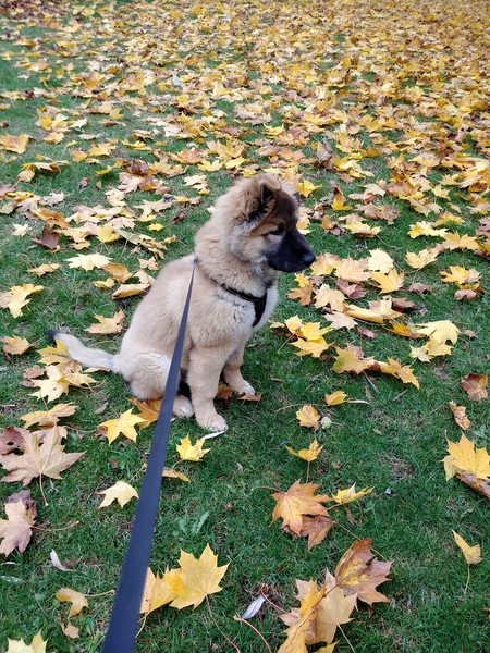 Entry image for Keyta. Clicking this image will show a larger photo