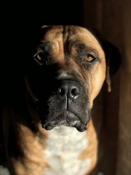 Entry image for Little Bit . Clicking this image will show a larger photo