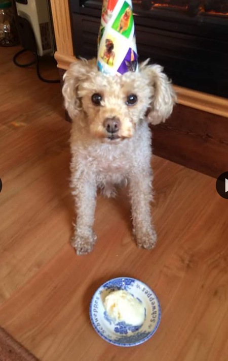 Entry image for Bannie. Clicking this image will show a larger photo