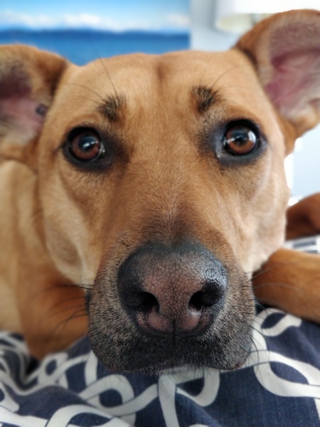 Entry image for Flicka. Clicking this image will show a larger photo