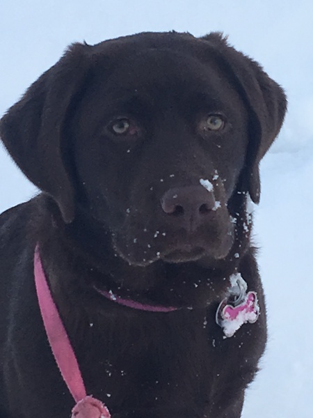 Entry image for Nutella. Clicking this image will show a larger photo