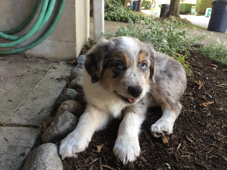 Entry image for shelbie. Clicking this image will show a larger photo