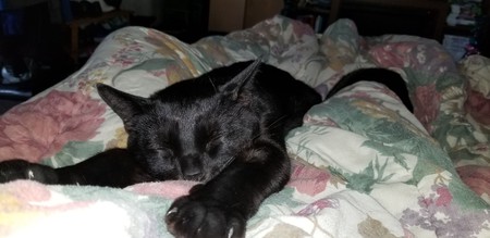 Entry image for Tuff. Clicking this image will show a larger photo