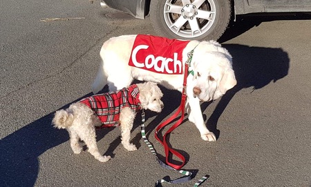 Entry image for Mack and Teddy. Clicking this image will show a larger photo