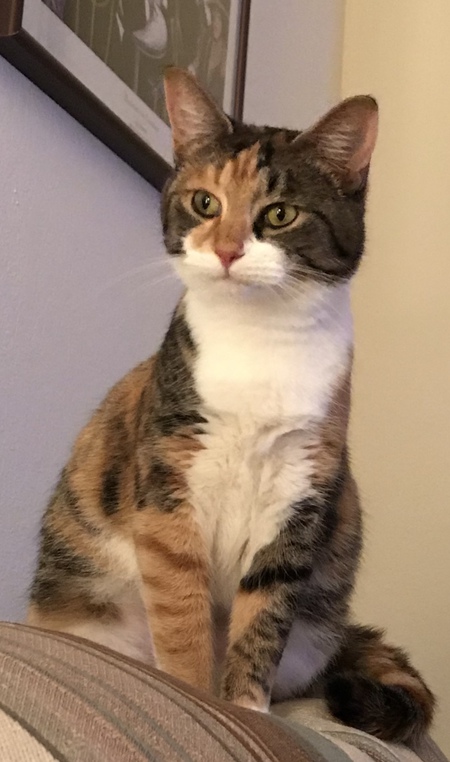 Entry image for Betty White . Clicking this image will show a larger photo