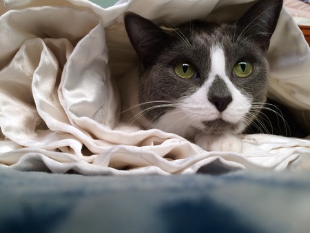 Entry image for Rain. Clicking this image will show a larger photo