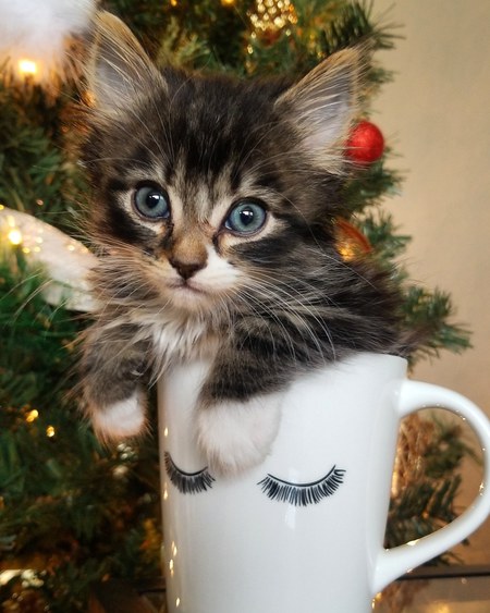 Entry image for Gary. Clicking this image will show a larger photo