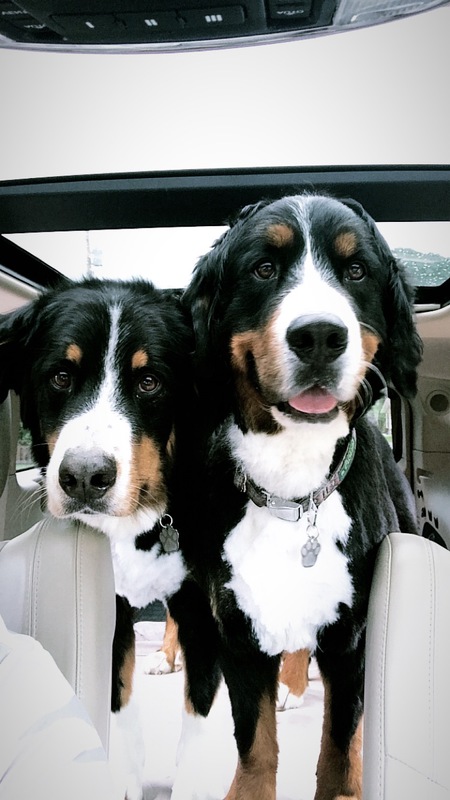 Entry image for Brew & Winston. Clicking this image will show a larger photo