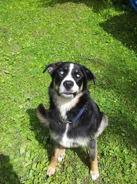 Entry image for Steel. Clicking this image will show a larger photo