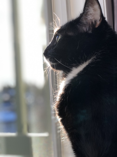 Entry image for Nevaeh. Clicking this image will show a larger photo