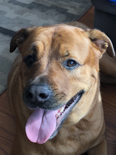 Entry image for Titan. Clicking this image will show a larger photo