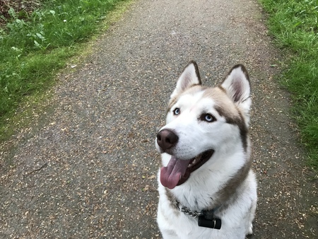 Entry image for Marleau. Clicking this image will show a larger photo