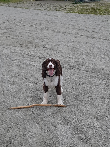 Entry image for Penni. Clicking this image will show a larger photo