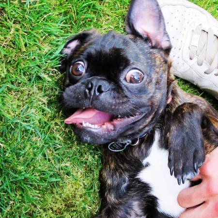 Entry image for Tank. Clicking this image will show a larger photo