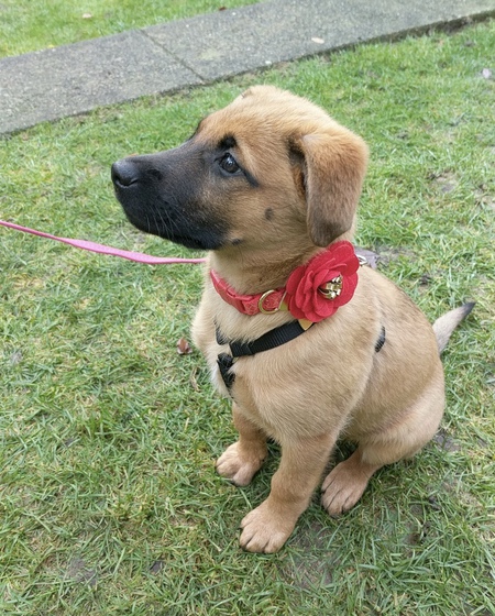 Entry image for Winter. Clicking this image will show a larger photo