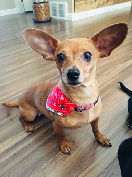 Entry image for Lucy Lu. Clicking this image will show a larger photo