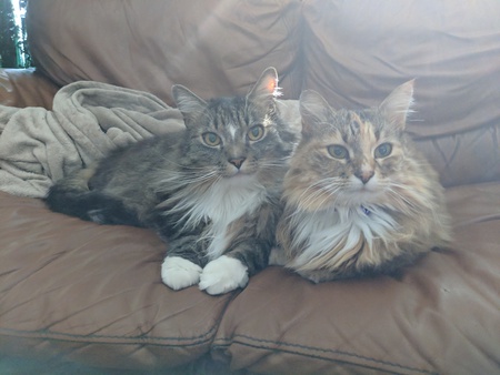 Entry image for Samphrey and Shuna (Gaelic Siuna). Clicking this image will show a larger photo