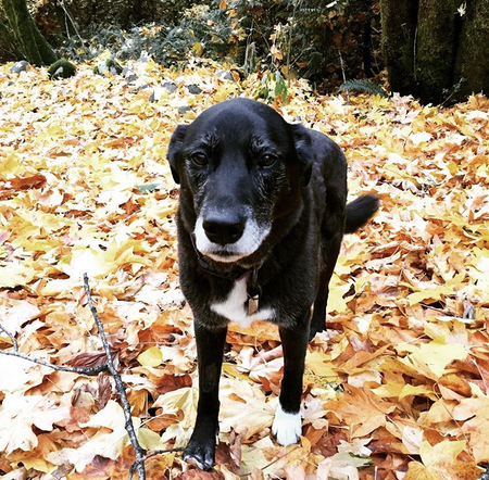 Entry image for Maya. Clicking this image will show a larger photo