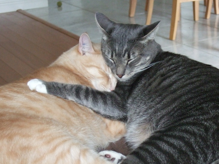 Entry image for Buddy and Trout. Clicking this image will show a larger photo