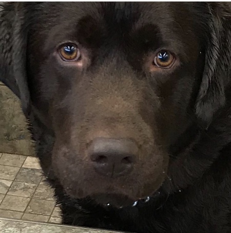 Entry image for Tanner. Clicking this image will show a larger photo