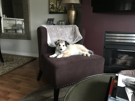 Entry image for Missy. Clicking this image will show a larger photo