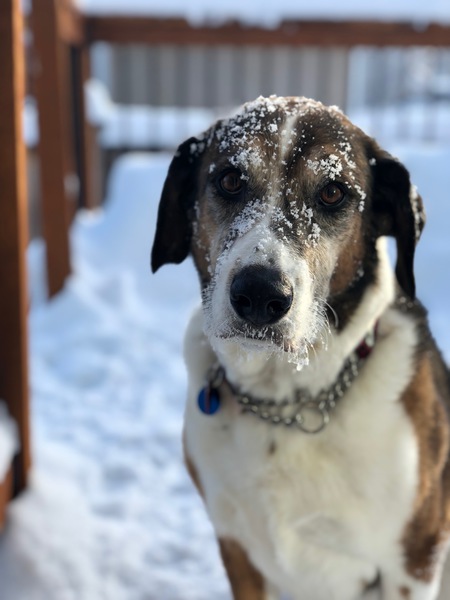 Entry image for Askem. Clicking this image will show a larger photo