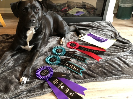 Entry image for Cali. Clicking this image will show a larger photo