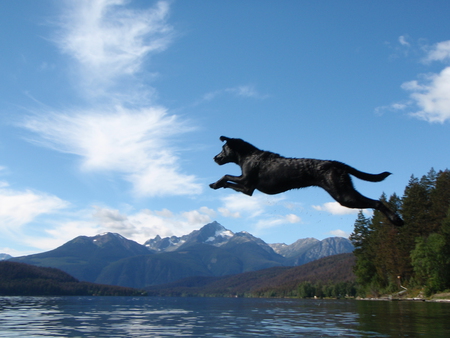 Entry image for Keesha. Clicking this image will show a larger photo