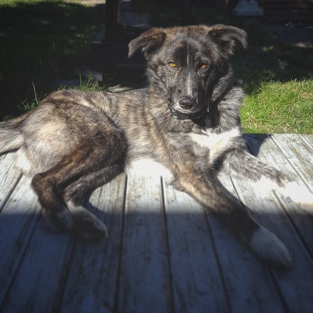 Entry image for Ivar Iverson . Clicking this image will show a larger photo