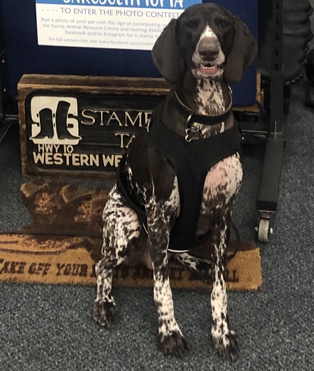 Entry image for Indiana. Clicking this image will show a larger photo