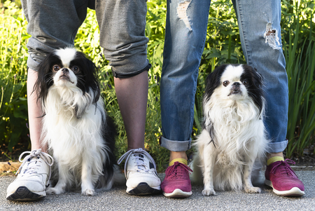 Entry image for Hana and Kendo. Clicking this image will show a larger photo