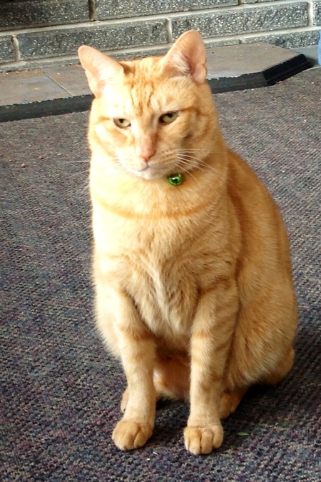 Entry image for Simon. Clicking this image will show a larger photo