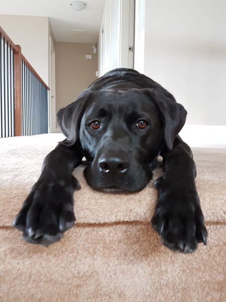 Entry image for Colbie. Clicking this image will show a larger photo