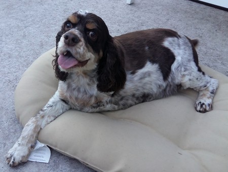 Entry image for Toby McFee. Clicking this image will show a larger photo