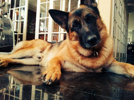 Entry image for Zach. Clicking this image will show a larger photo