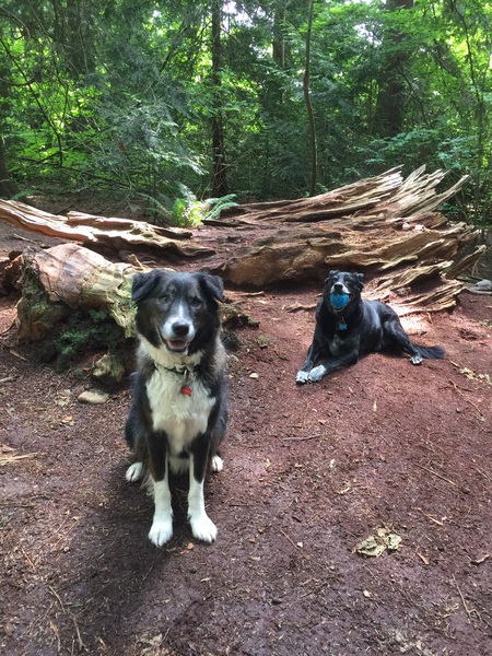 Entry image for Tobie & Chance . Clicking this image will show a larger photo