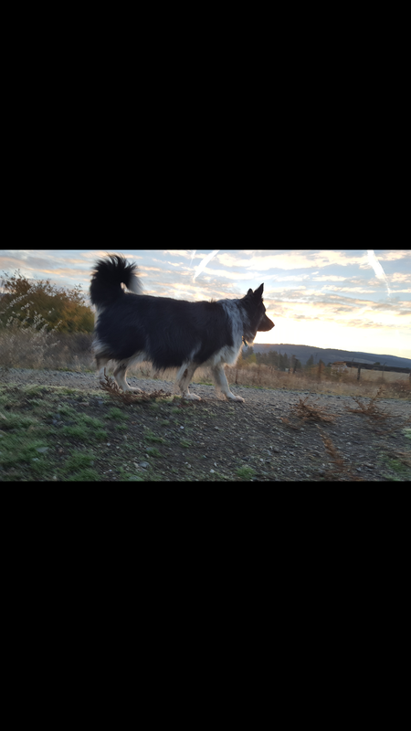 Entry image for Woody B Chooglin. Clicking this image will show a larger photo