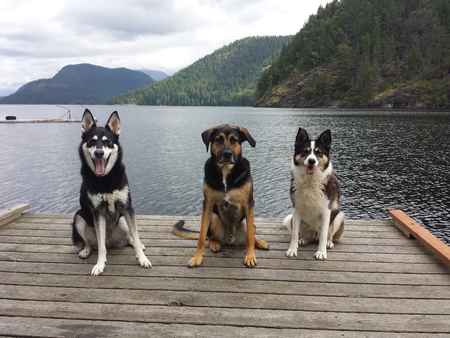 Entry image for Ruca, Dexter and Kacy. Clicking this image will show a larger photo