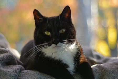 Entry image for Zach. Clicking this image will show a larger photo