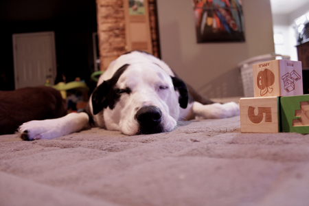 Entry image for Kiara. Clicking this image will show a larger photo