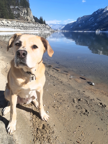 Entry image for Lenny. Clicking this image will show a larger photo